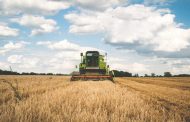 Ukraine achieves record harvest 0.8% of GDP