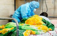 14,000 new cases of COVID-19 were recorded