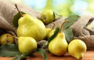 In Volyn, pears the size of a liter jar are grown
