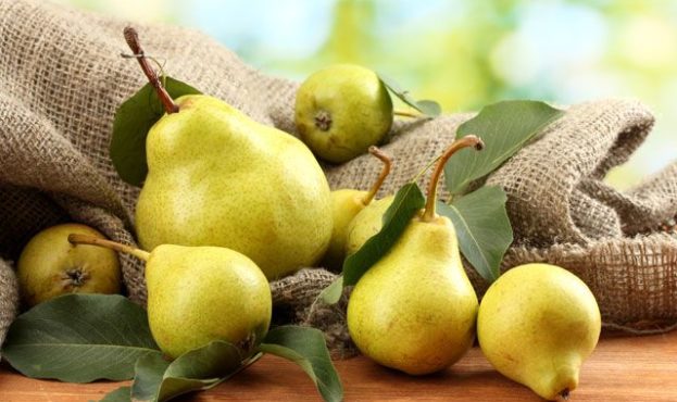 In Volyn, pears the size of a liter jar are grown