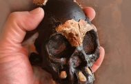 The skull of a child of the species Homo naledi was found in Africa