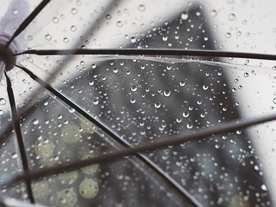 Rain and wet snow: weather forecast for today