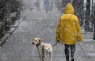 Dry weather continues in Ukraine for a few days, then rain and wet snow