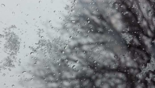 Meteorologists predict snowfall at the beginning of the week in Ukraine