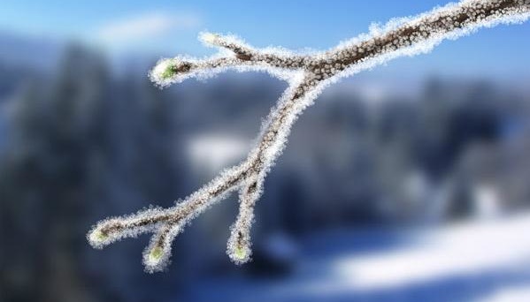 Temperatures reach -9 degrees at night in Ukraine