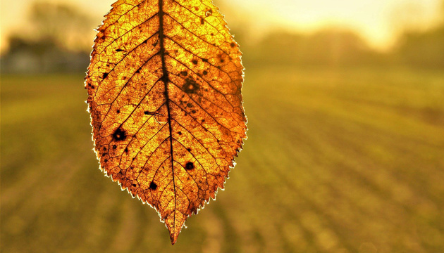 Ukrainian meteorologist predicts another warm weekend in autumn