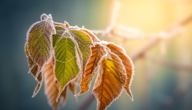 Weekend weather: sun and frosts
