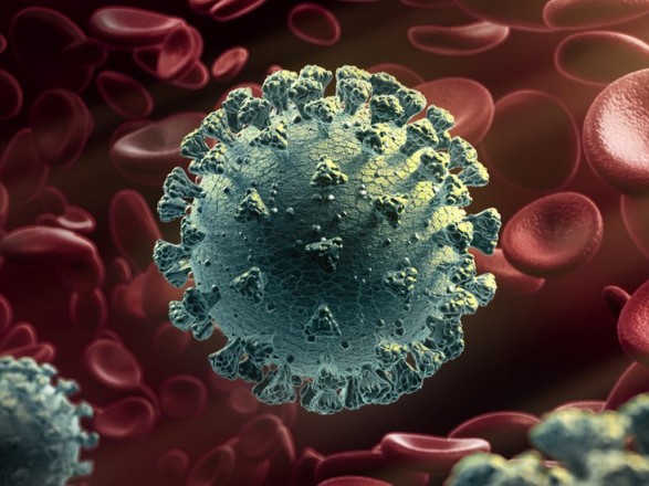 More than 251 million people worldwide have contracted coronavirus infection