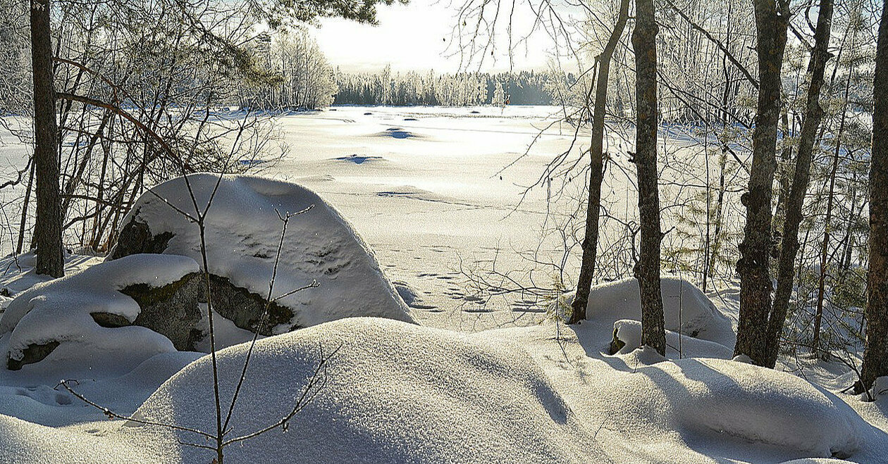 Winter in Ukraine will begin with snow