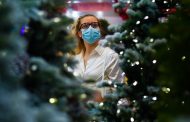 The sale of Christmas trees has started in Ukraine: for how much you can buy a New Year's beauty