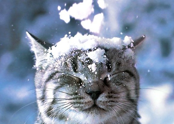 It will be snowy, windy and warm: weather forecasters have forecast for the second day of December