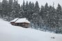Frosts and blizzards: a southern cyclone is approaching Ukraine