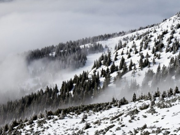 Ukrainians were urged not to go to the mountains on New Year's Eve: there is a threat of avalanches