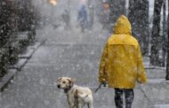 Wet snow and gusts of wind: weather forecast for today
