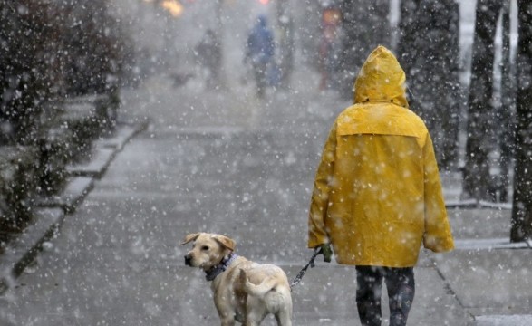 Wet snow and gusts of wind: weather forecast for today