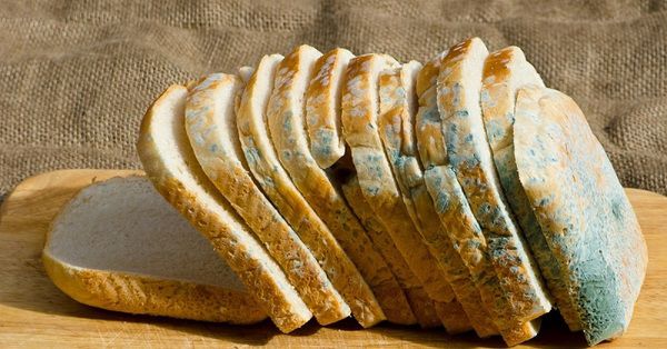 What happens if you eat bread with mold