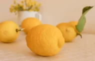 What are the benefits and harms of lemons for human health
