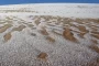 Snow has fallen in the world's largest desert, the Sahara