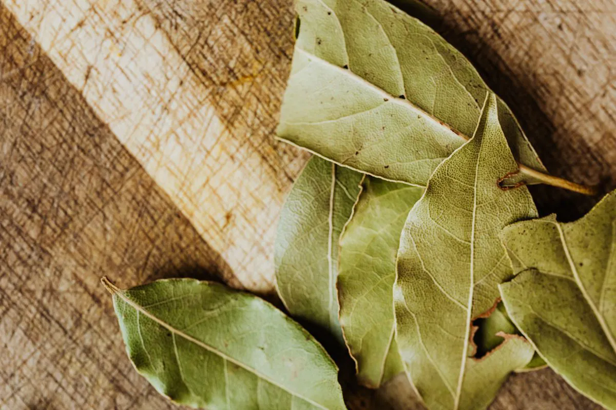 Bay leaf in soup: when to put it and whether to get it after cooking