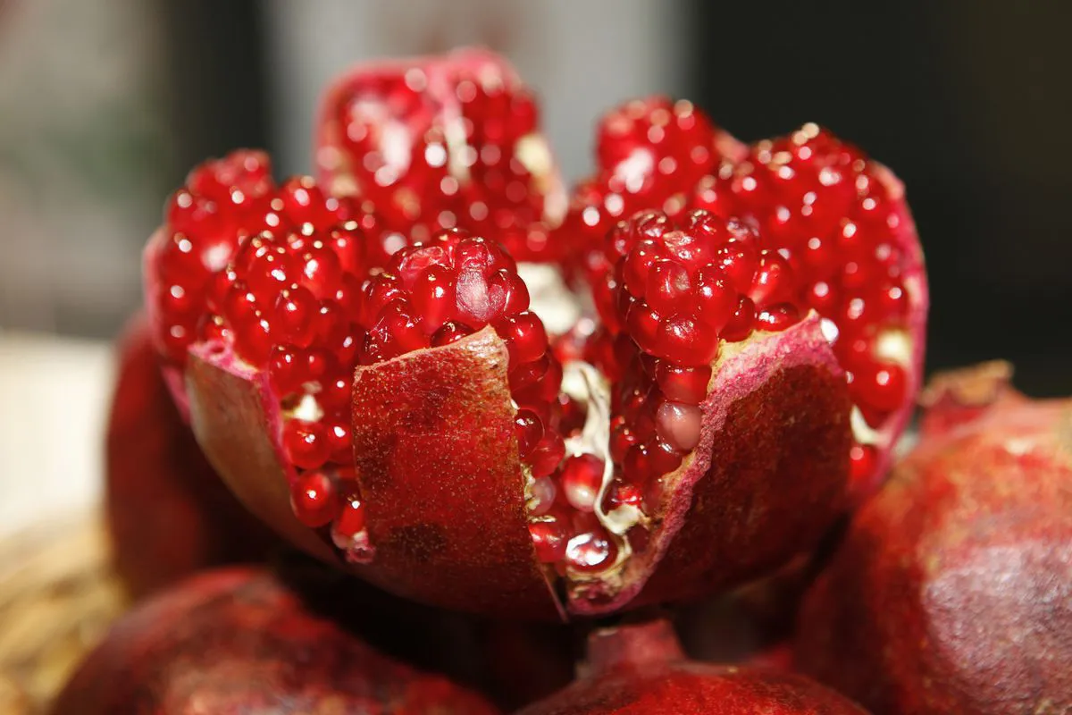 Scientists have discovered in pomegranates a compound that is able to resist age-related changes in the body