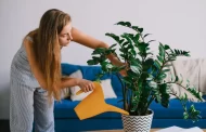 These few life hacks will help to take better care of houseplants