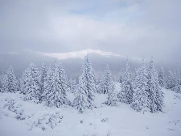 Strong wind and blizzards