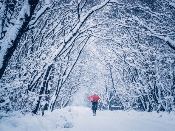 Ukraine will start to warm up a bit, it will snow in most regions.