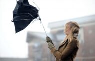 Windy weather and easing of frosts: weather forecasters gave a forecast until the end of the week