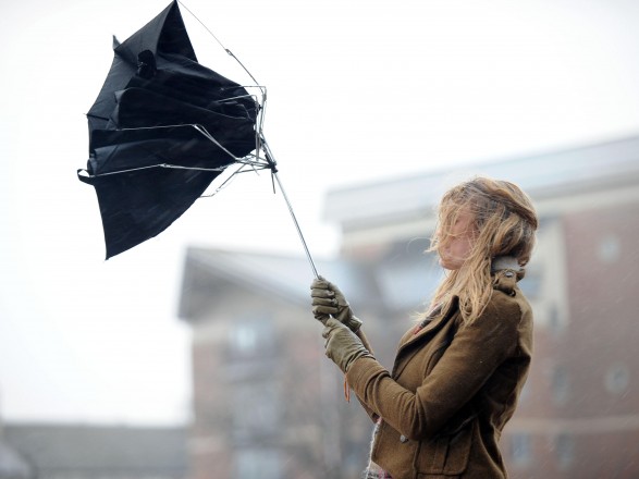 Windy weather and easing of frosts: weather forecasters gave a forecast until the end of the week