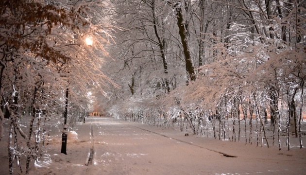 Snowfalls and frosts are coming to Ukraine