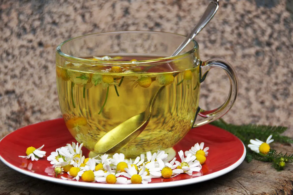 10 health benefits of chamomile tea