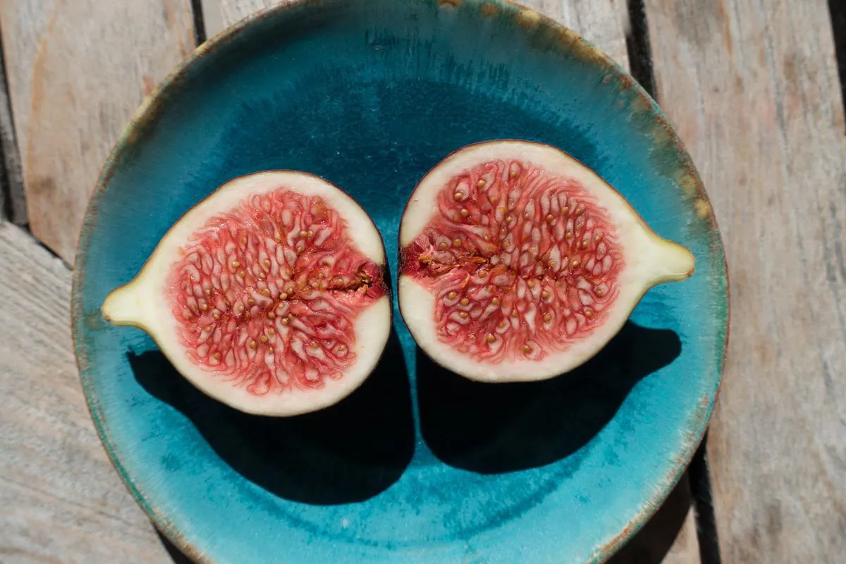 Several properties of figs that can improve human health
