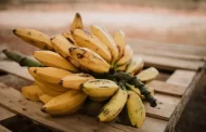 Cosmetologists talked about the benefits of bananas for face and hair