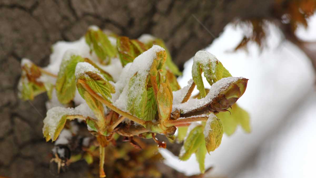 The weather in Ukraine is sunny and without rain on February 14