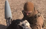 Unexpected guest: sweet hugs with a four-legged defender during a military interview