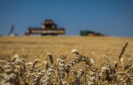 In places of the Nikolaev area where occupiers retreated, people prepare for sowing - Kim