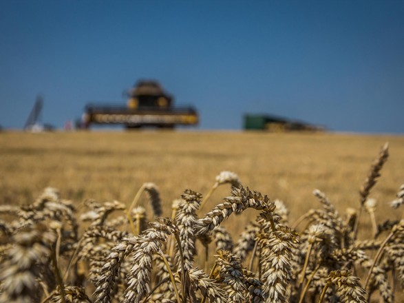 In places of the Nikolaev area where occupiers retreated, people prepare for sowing - Kim