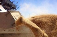 The EU plans to help Ukraine with food exports to circumvent Russia's blockade of the Black Sea