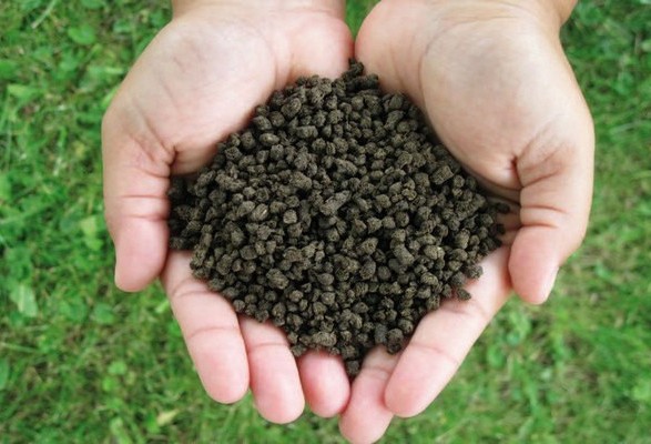 Brazil uses natural fertilizers for fear of disrupting imports amid the war in Ukraine