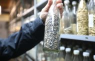 The shelling of the plant genetic bank in Kharkiv: specimens were saved, but due to destroyed equipment there are problems with their preservation