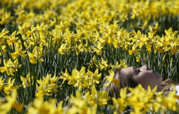 A rise in temperatures in Ukraine on Wednesday, May 11