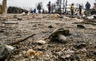 Russian Federation kills 229 children in Ukraine