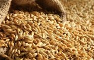 Turkey is negotiating with Ukraine and Russia a corridor for grain exports