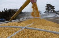 Ukraine exports more than one million tons of grain in May