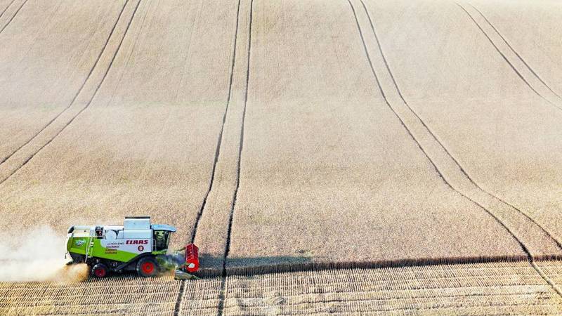 Ukraine looks to increase grain exports via Poland