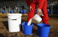 Ukraine will not restrict milk exports because of the war