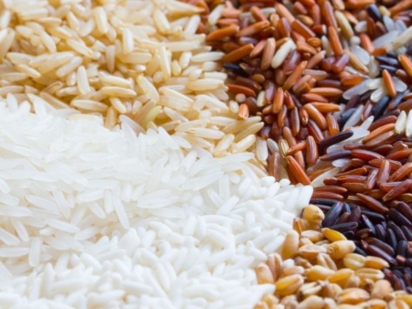 Against the background of the global food crisis, Russia is stopping rice exports