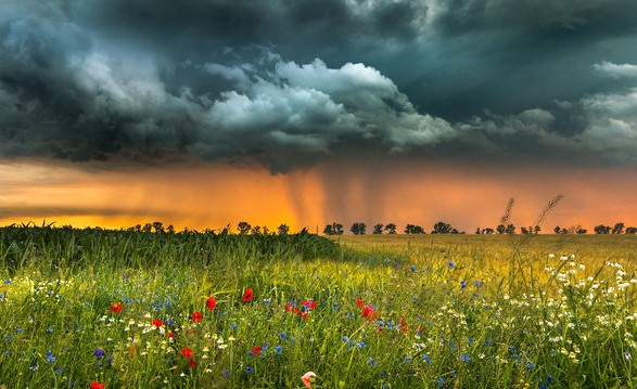 Rains will spread across Ukraine until the weekend - weather forecasters