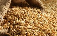Export at least 400 thousand tons of grain from Ukraine