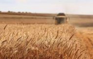 Export thousands of tons of agricultural products from Luhansk region